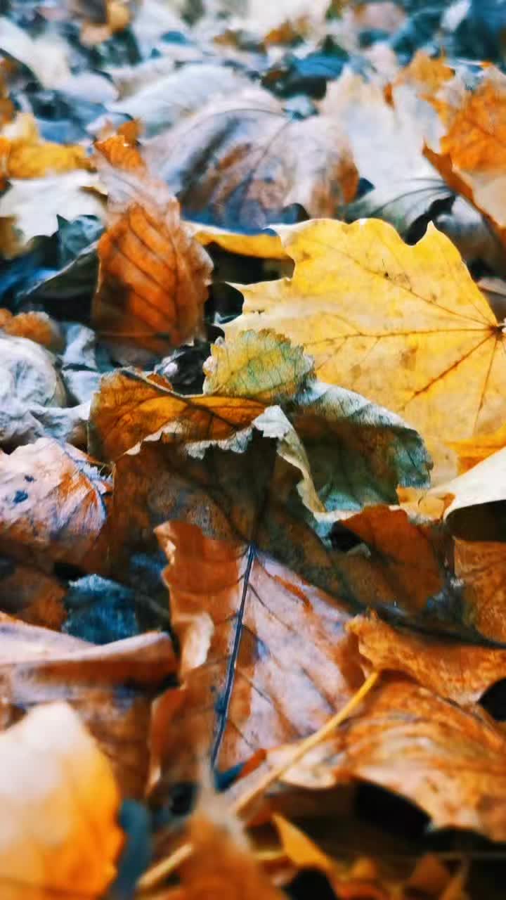 @Khurramsch