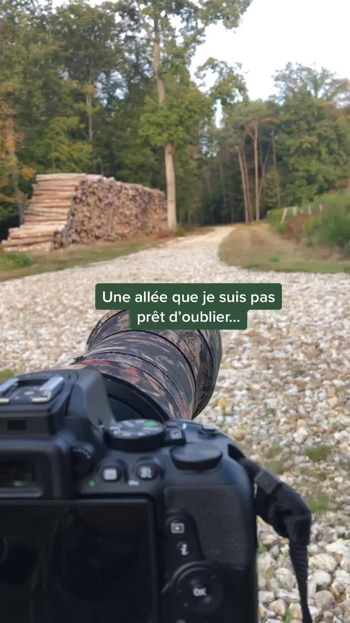 @Axel Wildlife