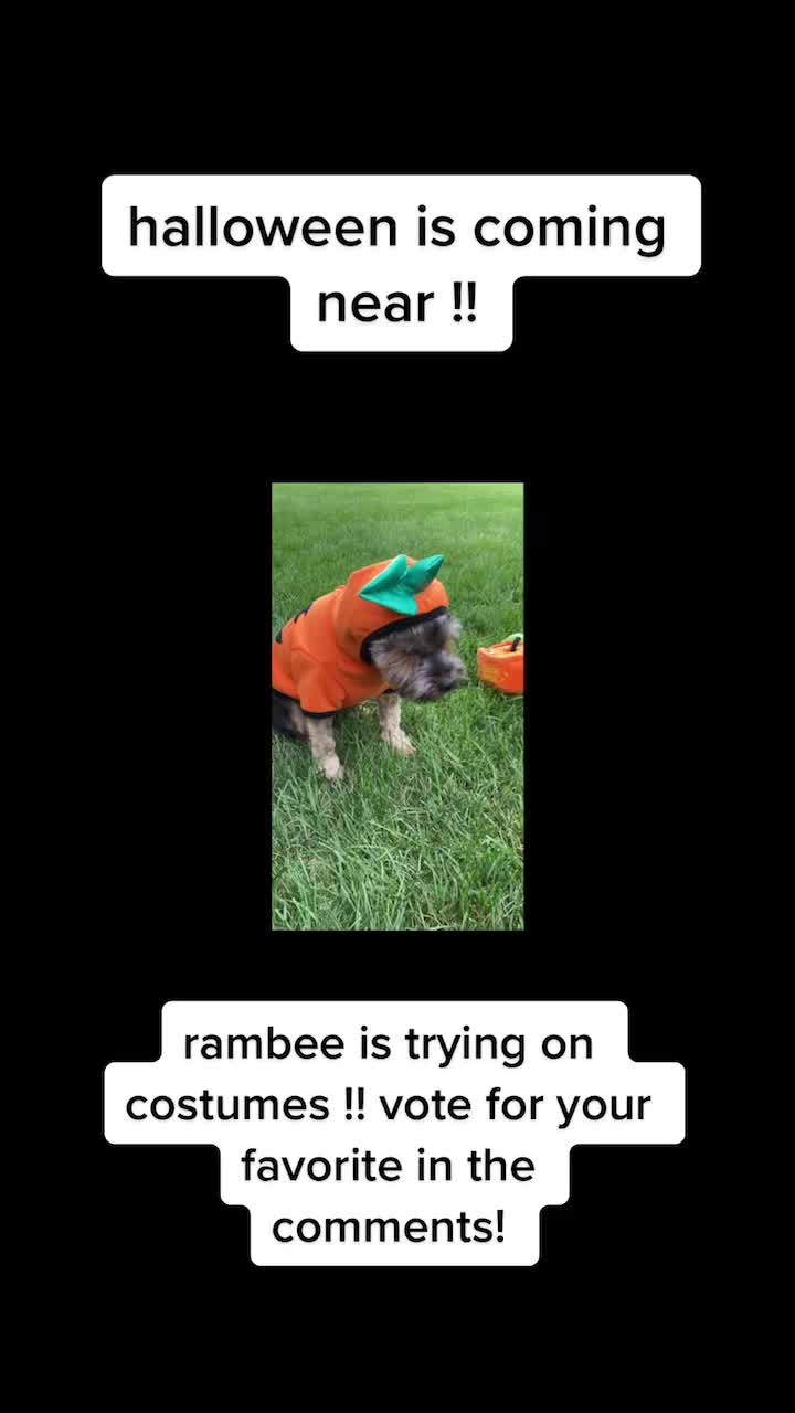 @The Real Rambee Boo
