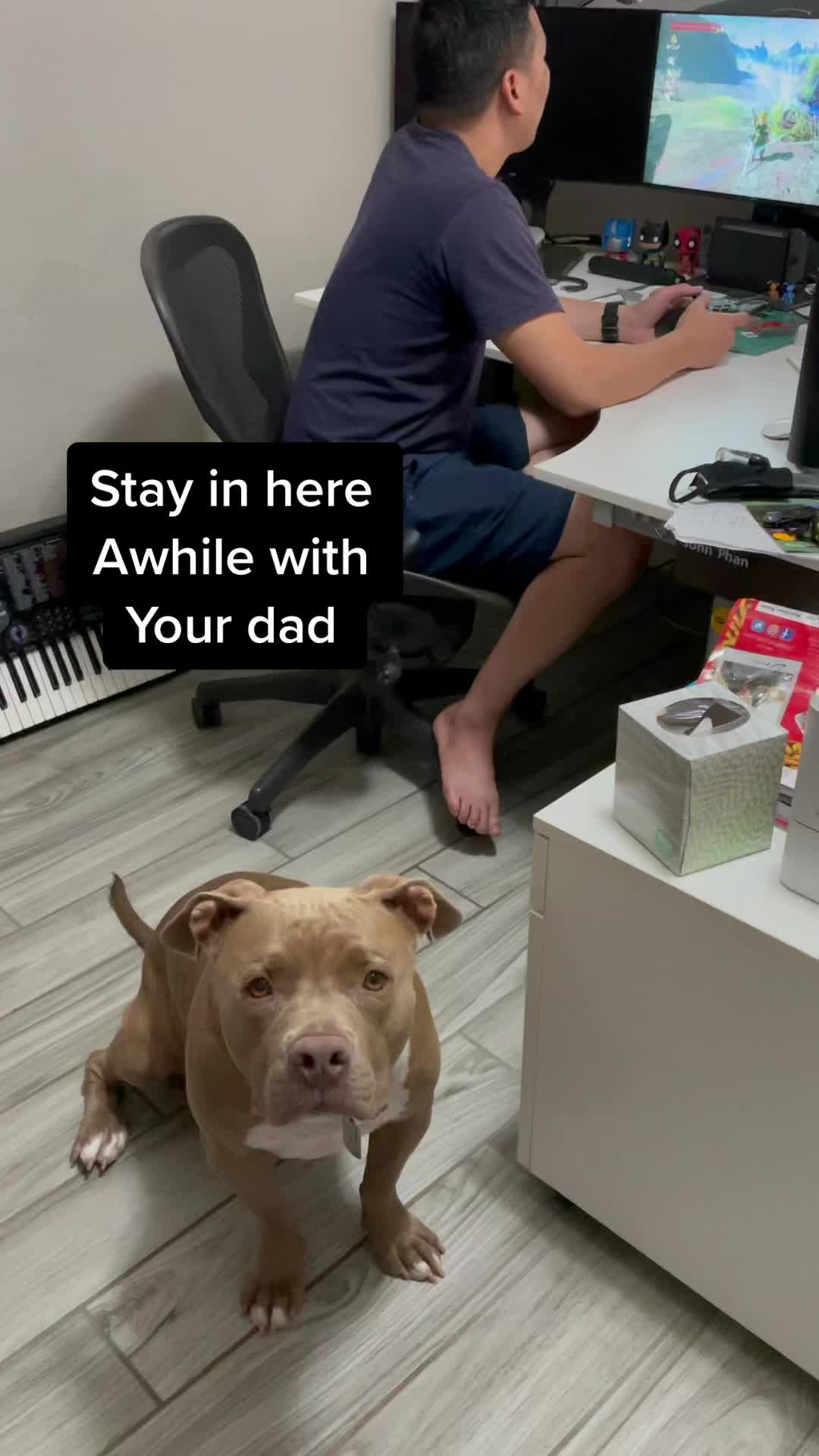 @Koda.b.Koda