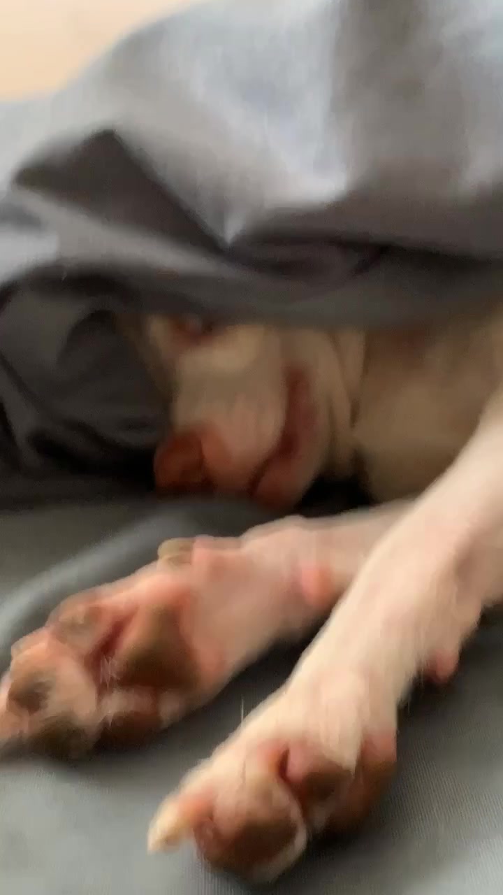 @mreviatar