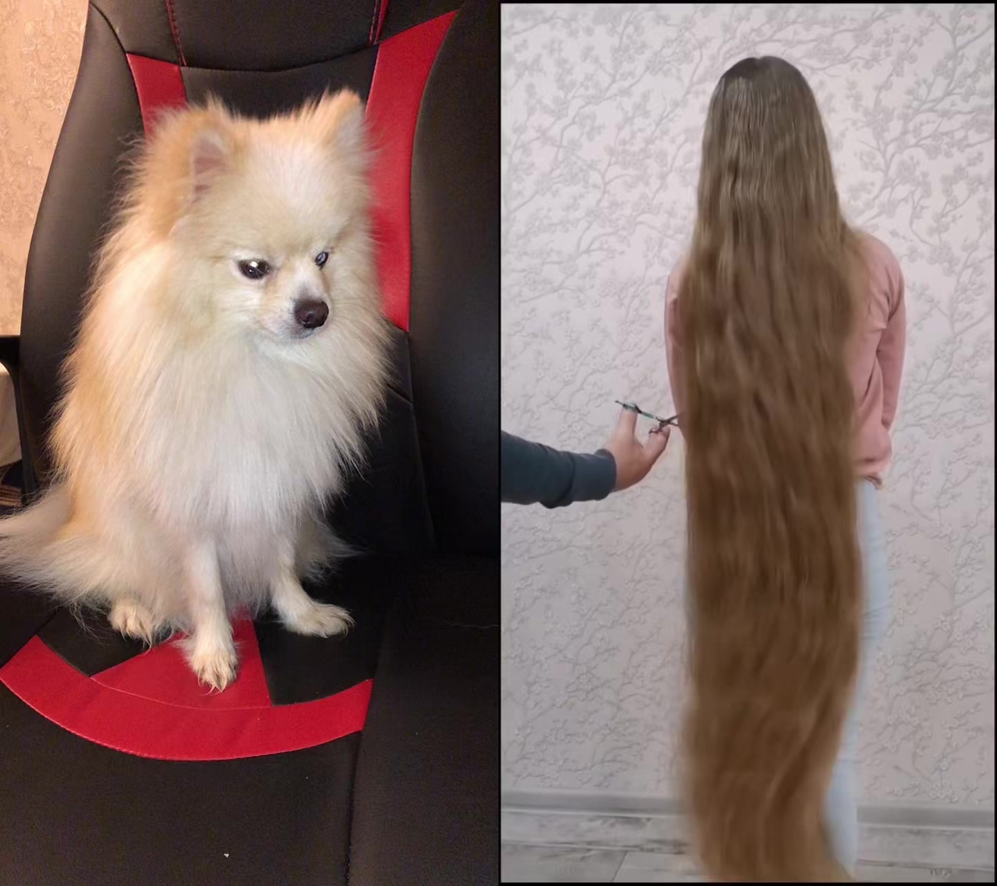 @Карина