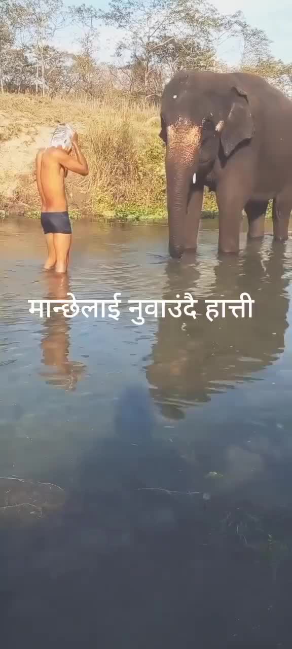 @Dr khanal