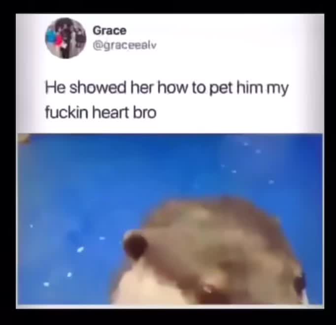 @DadBodRob