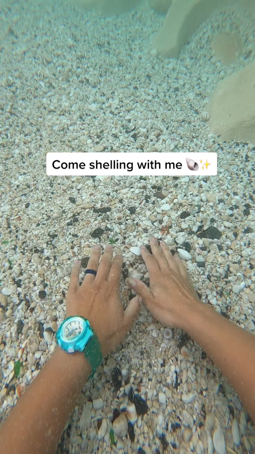 @Treasure Hawaii