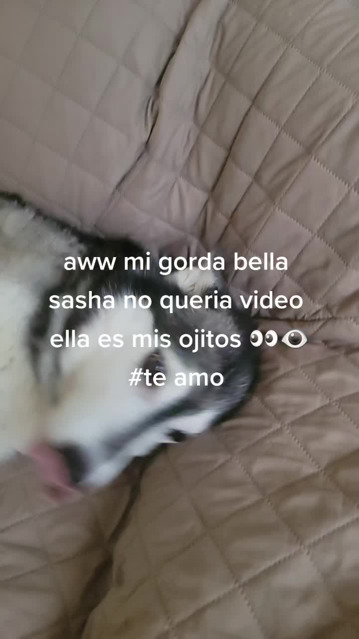 @Liliana Contreras🐥💜🐨🍉✨️👑