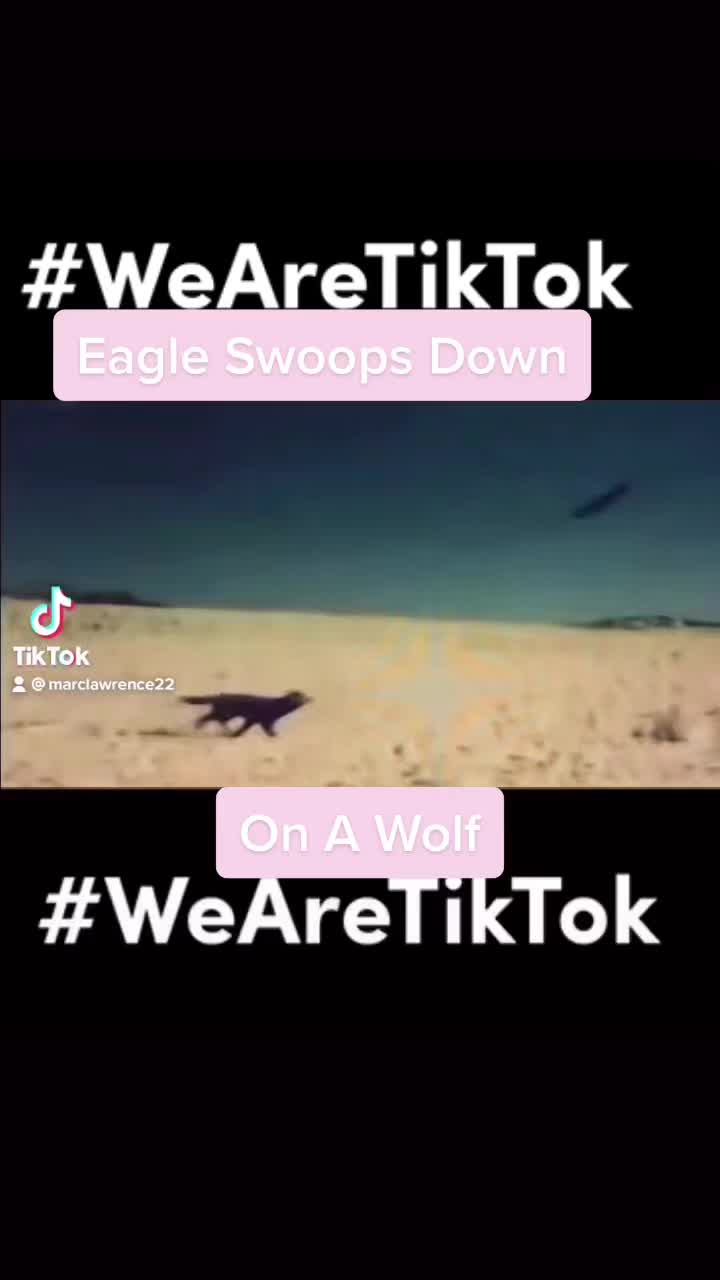 @borderman20