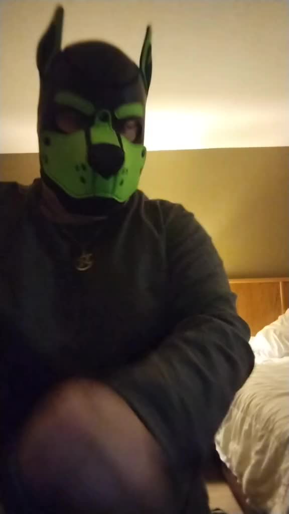 @PupNyonBlitz