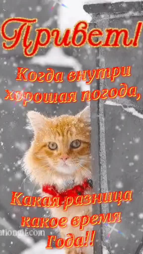 @user7799850858678 Татьяна