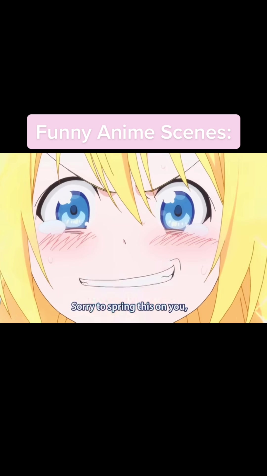 @*:･ﾟ✧*:･ﾟ