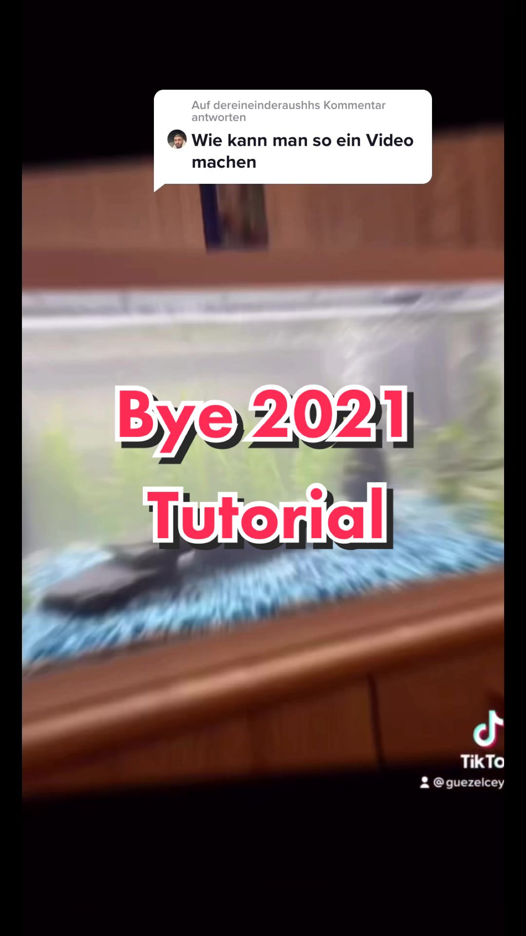 @Ceyda