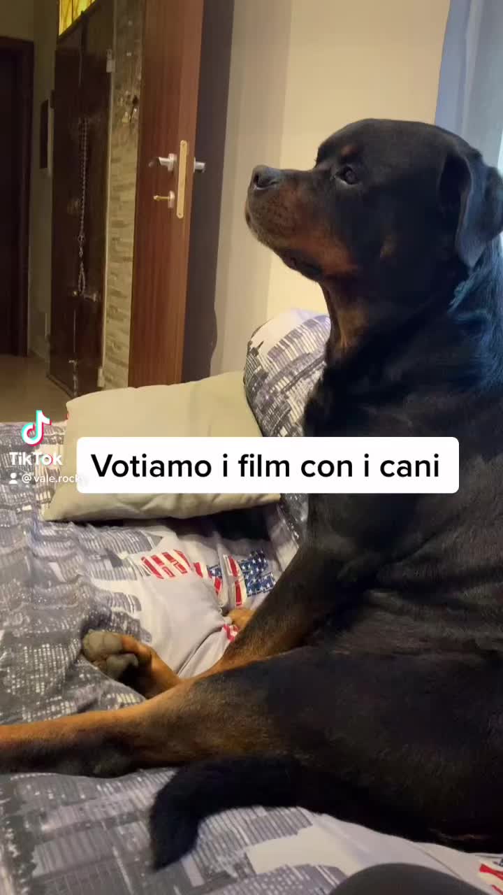 @Vale&Rocky