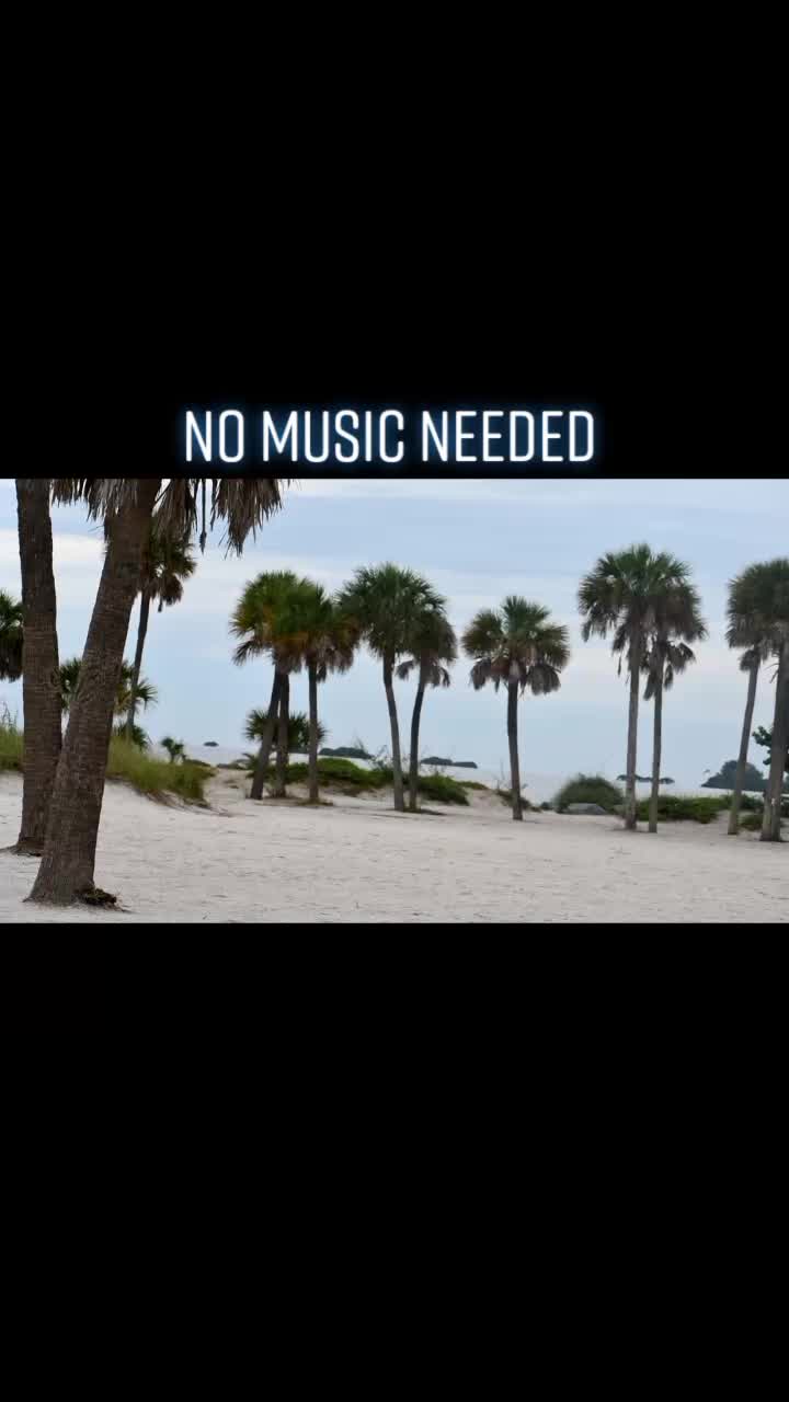 @user495167308608