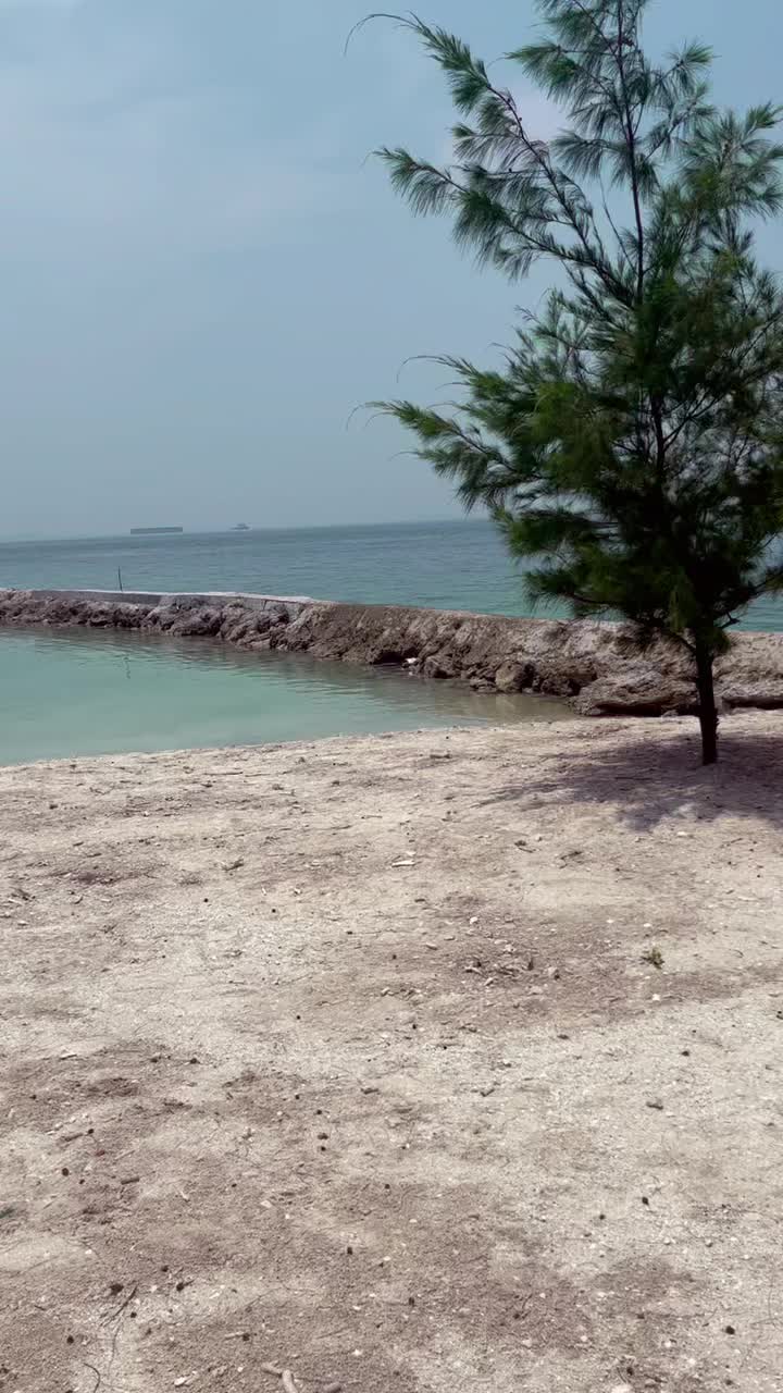@safitrijunaidy