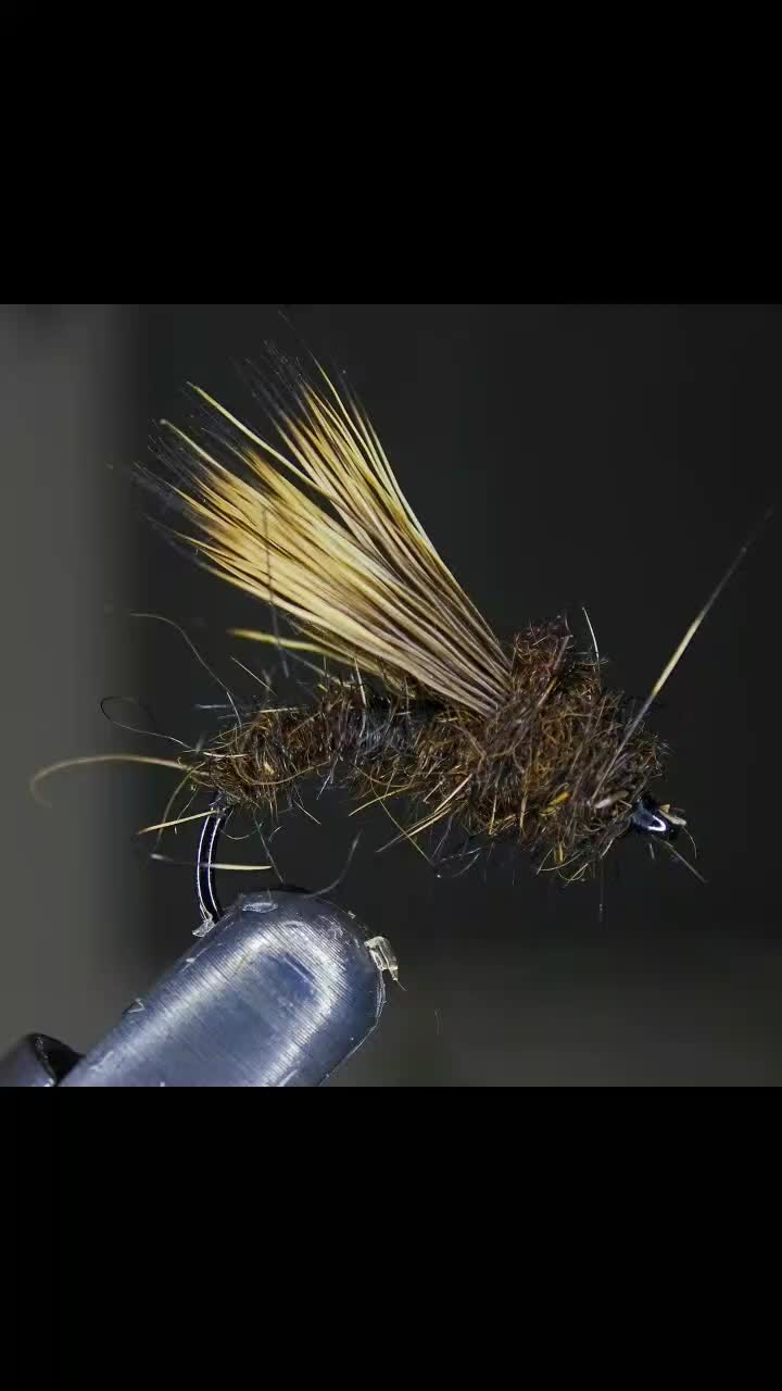 @JRflies _Finland