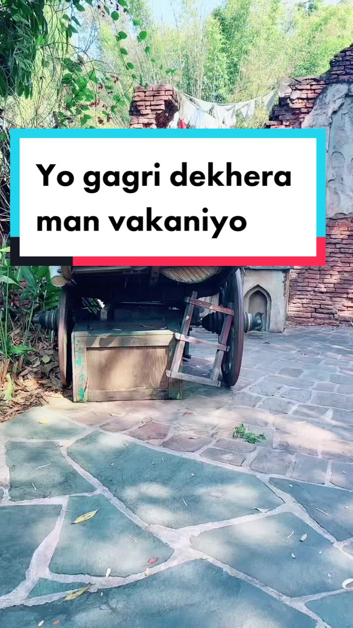 @Gudiyarani 🇺🇸🇳🇵🧿