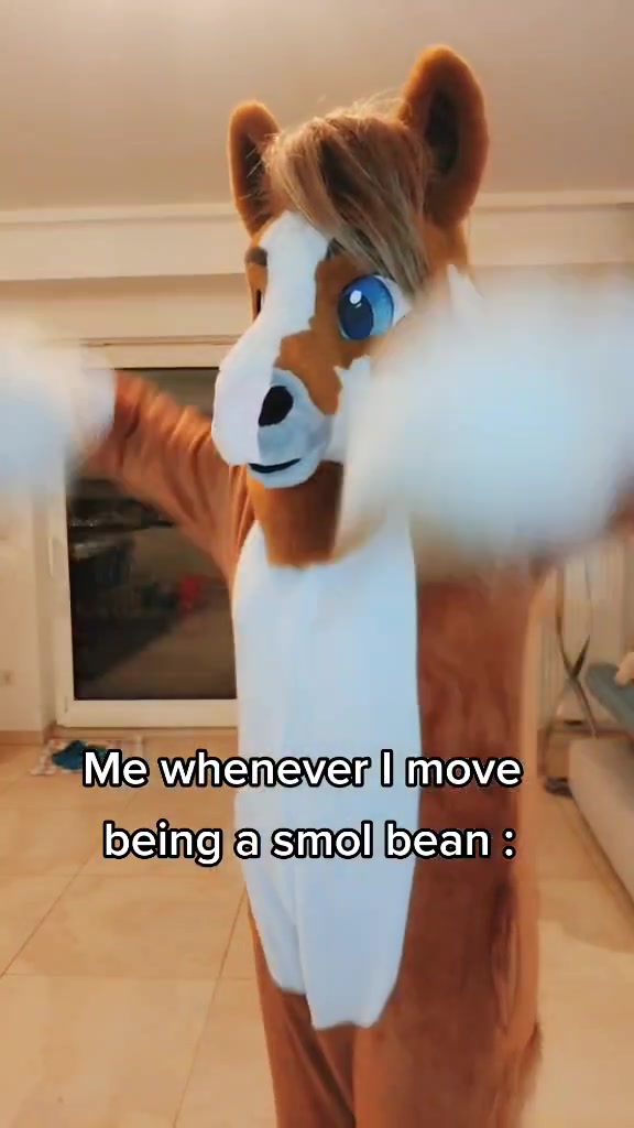 @SeaNoodles