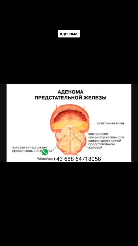@Доктор Сайфуллах