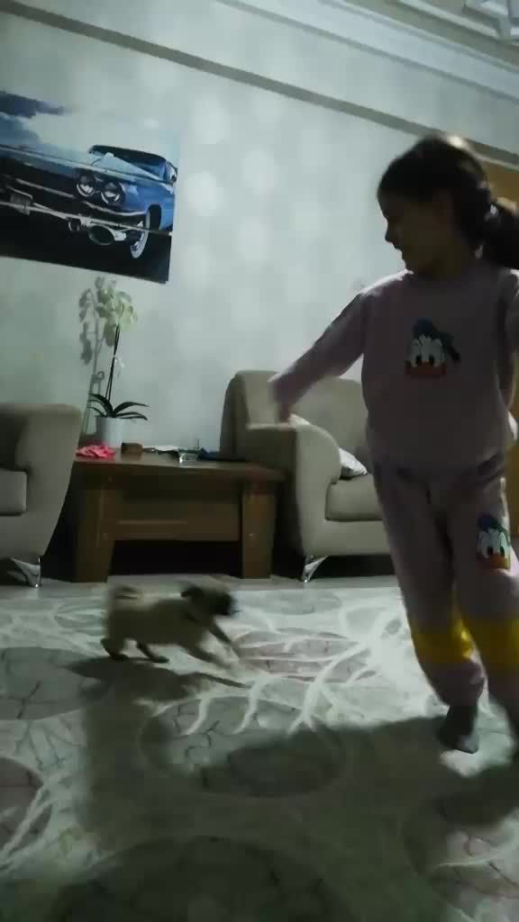@Alimerdan Cansu Sevik