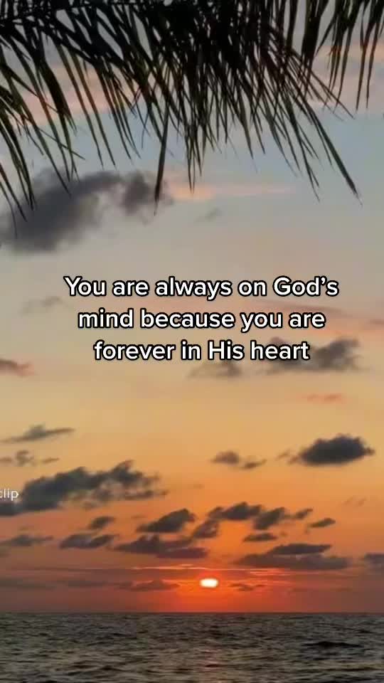 @jesusistheonlywayout