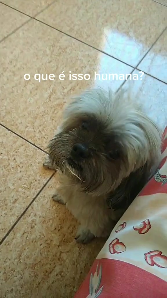 @_cecidiasx_