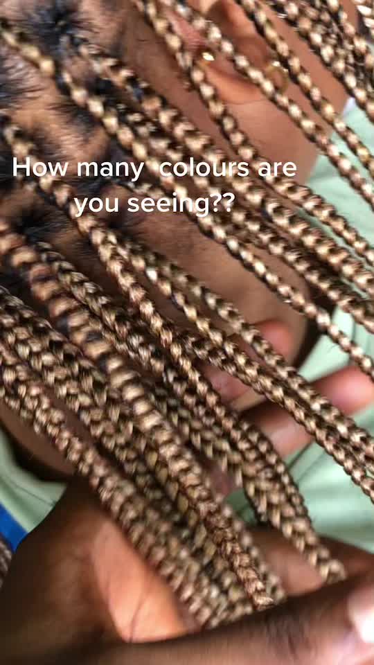 @Braidsbyevabube
