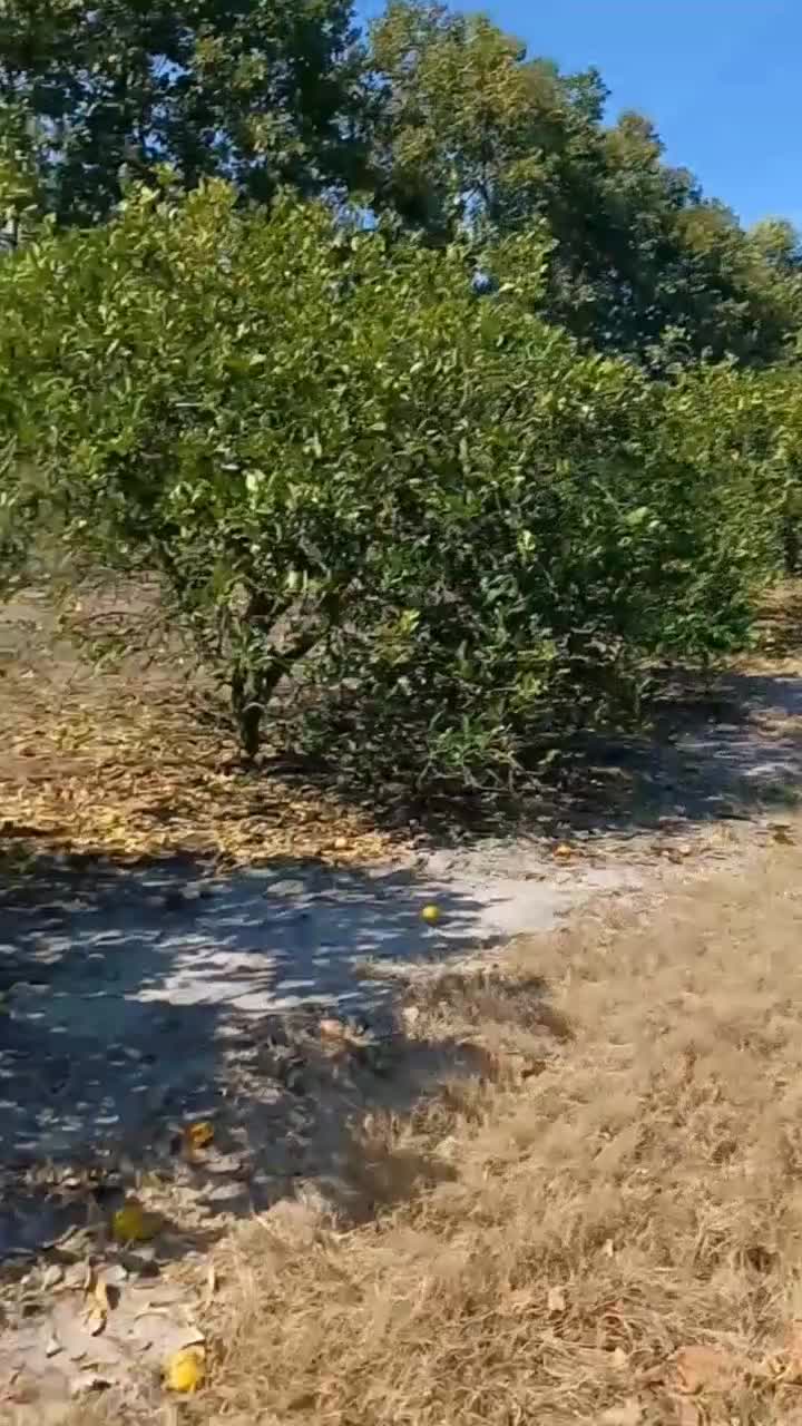 @aureliohernandez301