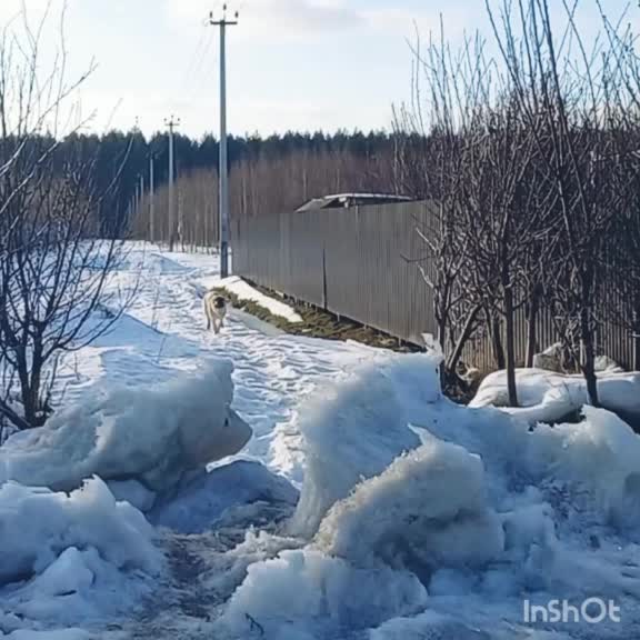 @Сашуля Милашка