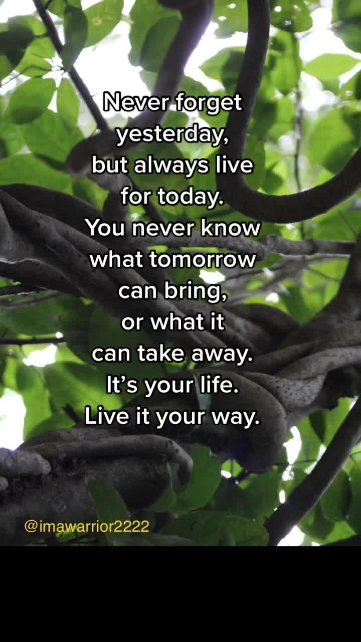 @Every Day Quotes