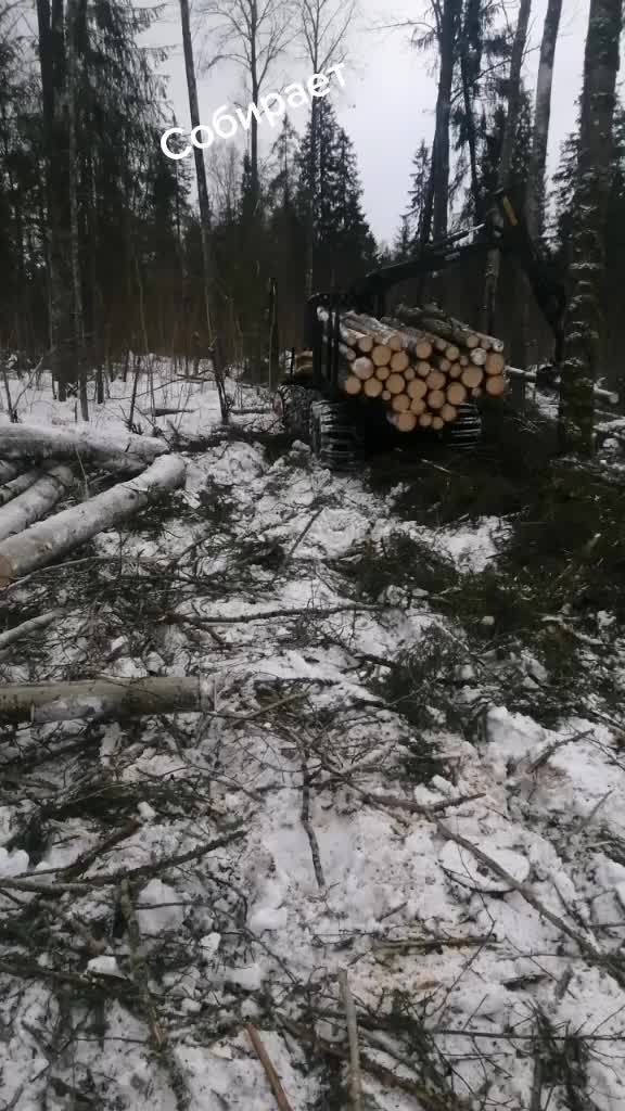 @Андрей Шубин