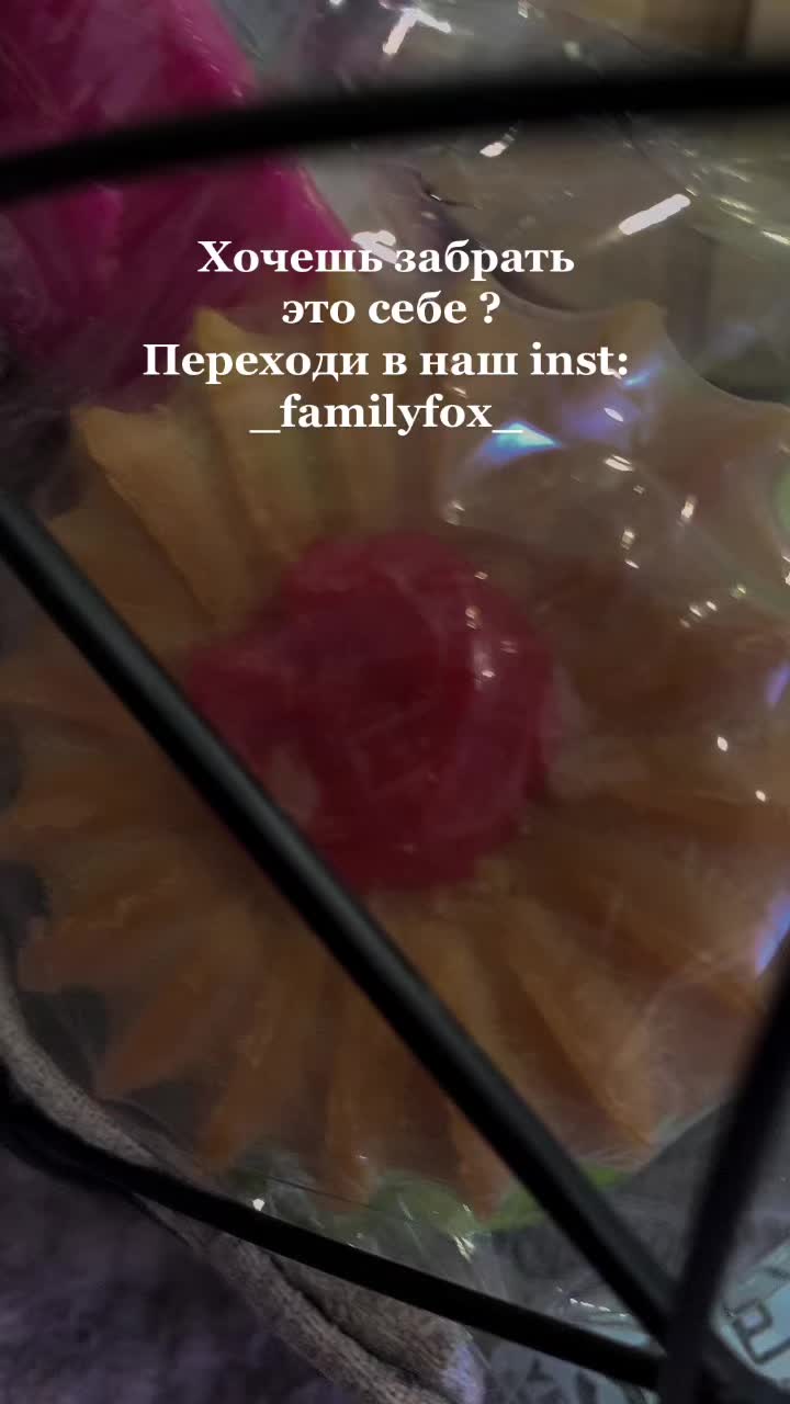 @Family fox🤍