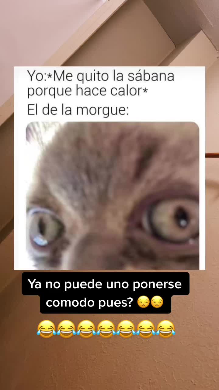 @Antonio quijano