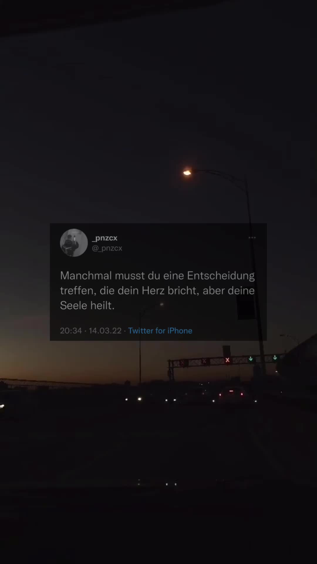 @🦂 𝐩𝐧𝐳𝐜𝐱 🦂