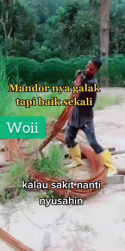 @Bukan Ilham3101