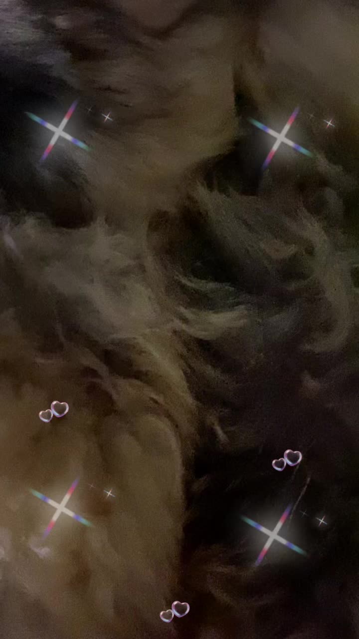 @Pomeranian