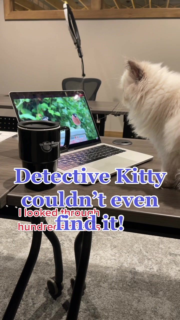 @themurdermysteryco