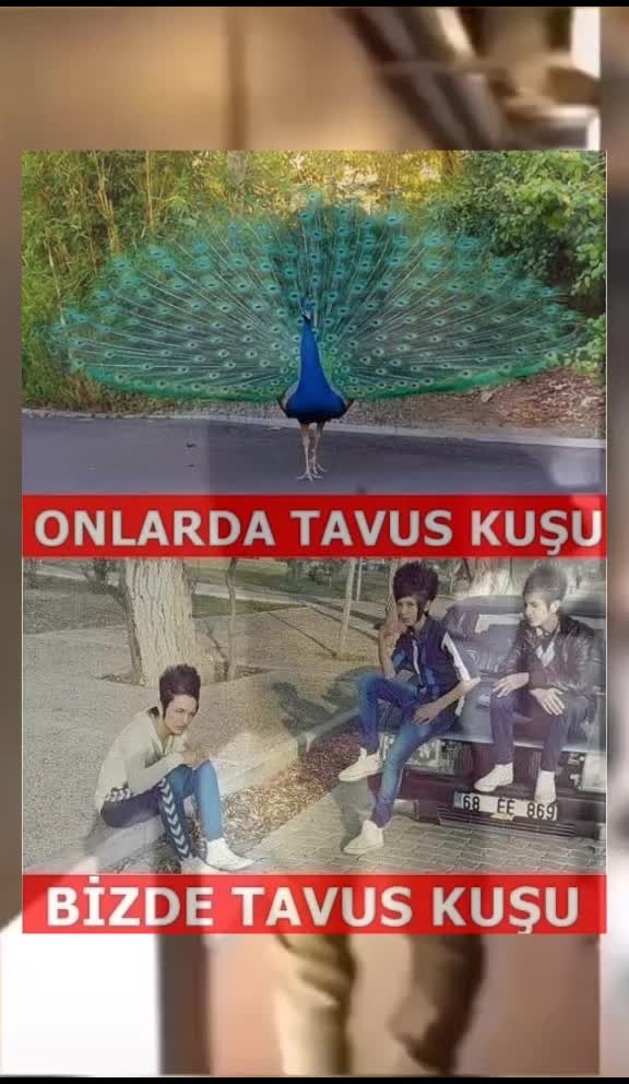 @&Ouml;𝙻𝙳&Uuml;𝙼 𝙰𝙳𝙴𝙽.... 🥀🥀🥀