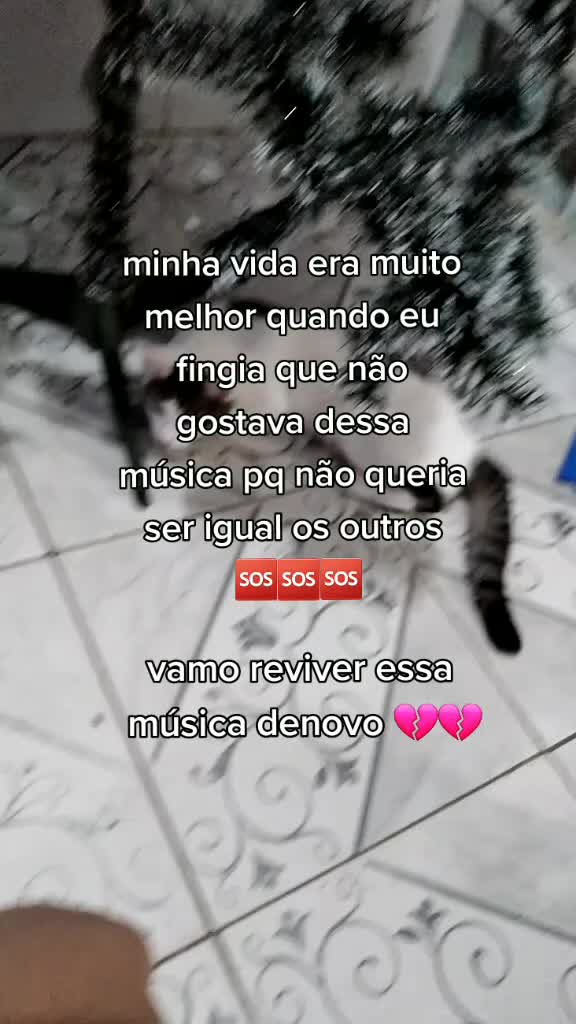 @cartooncatlenda<3