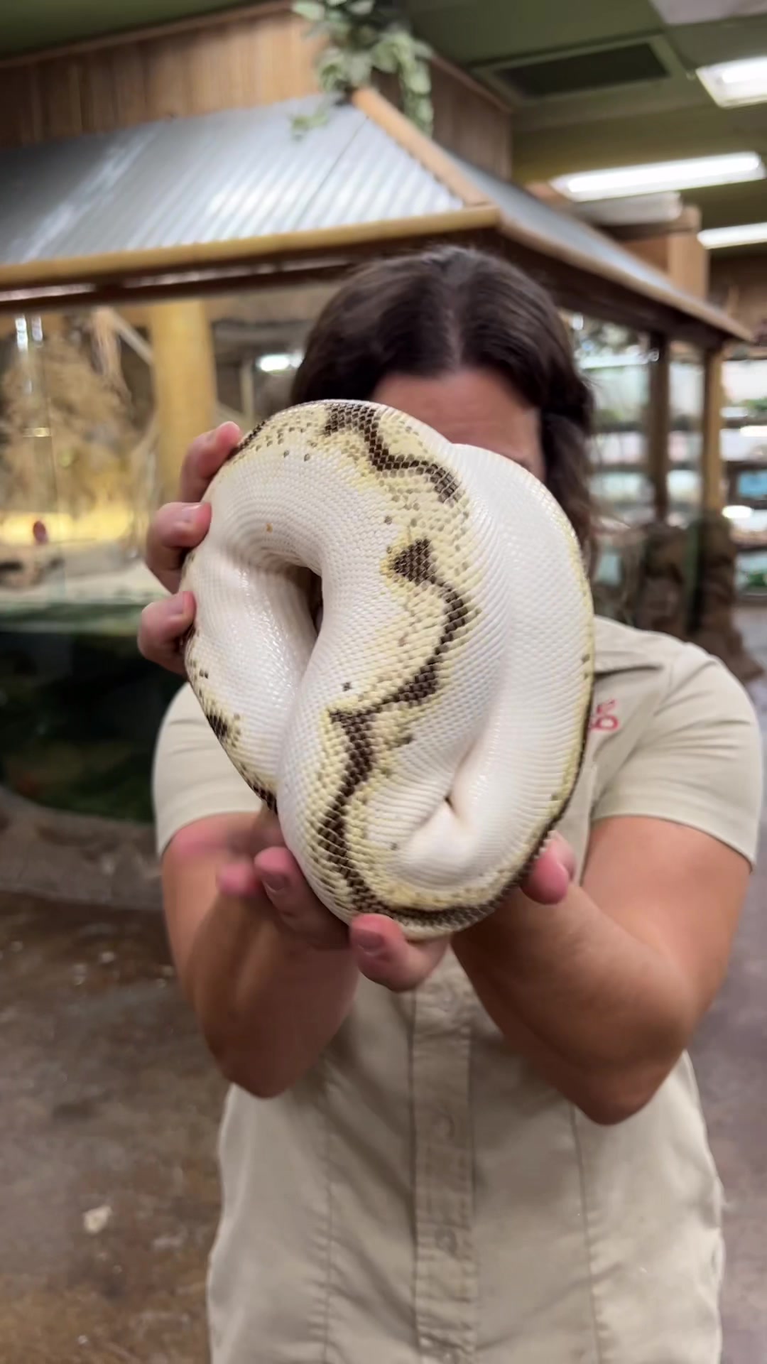 @The Reptile Zoo
