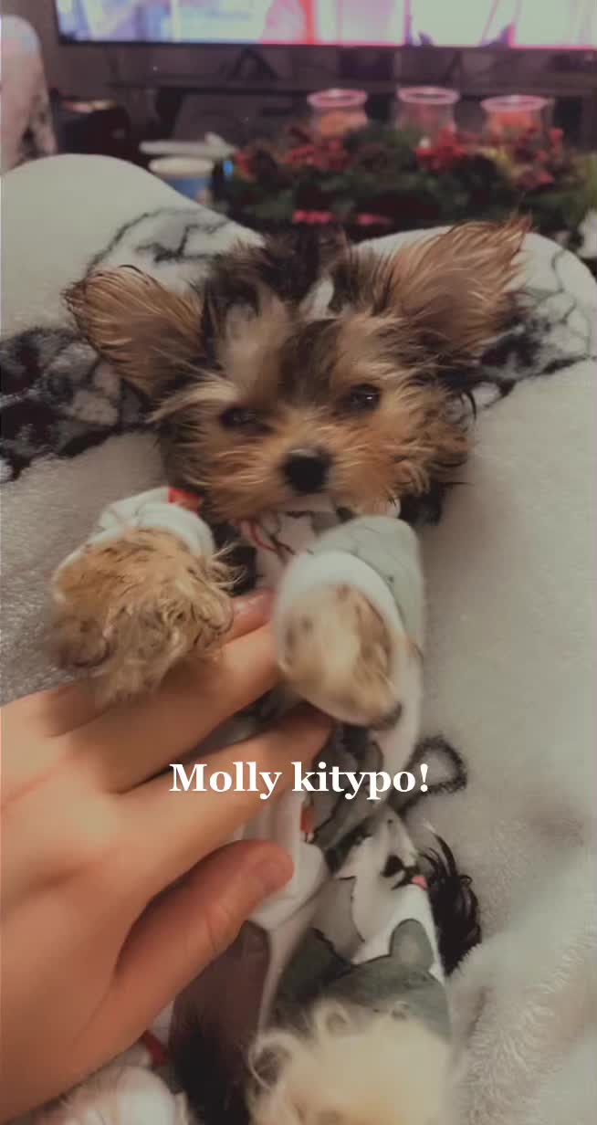 @Maricela Herrera  🐰🐶🦜🌸