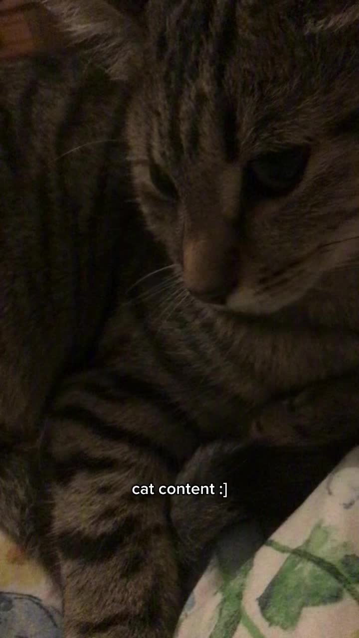 @alex