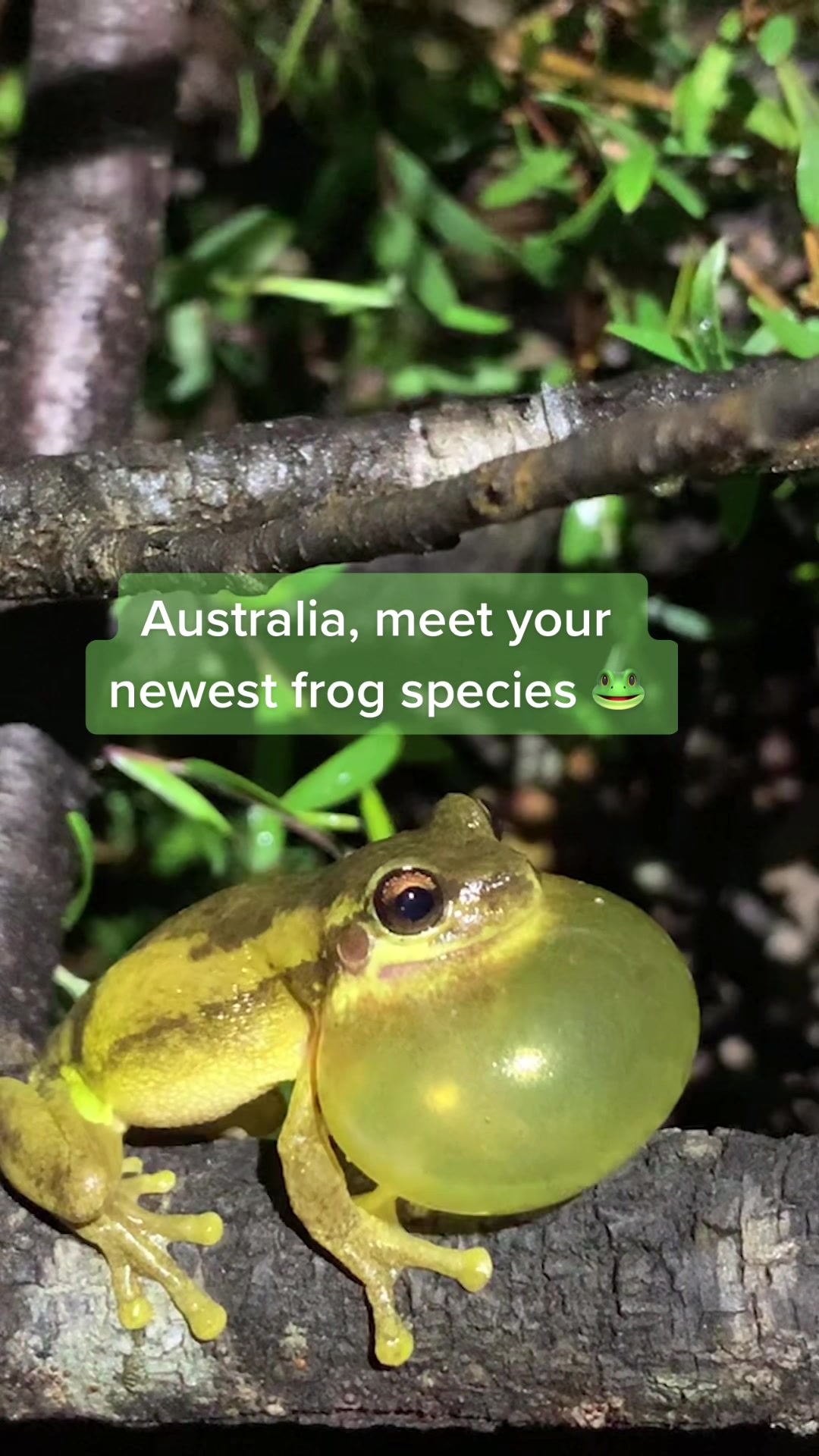 @UNSW