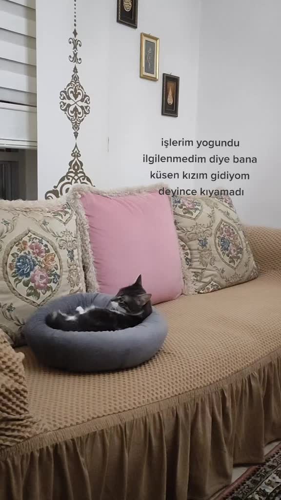 @Elif Enise Alan&ccedil;ay