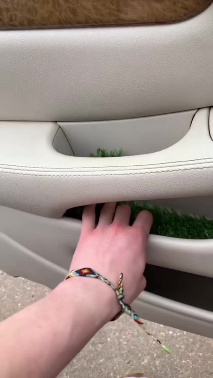 @Car auto