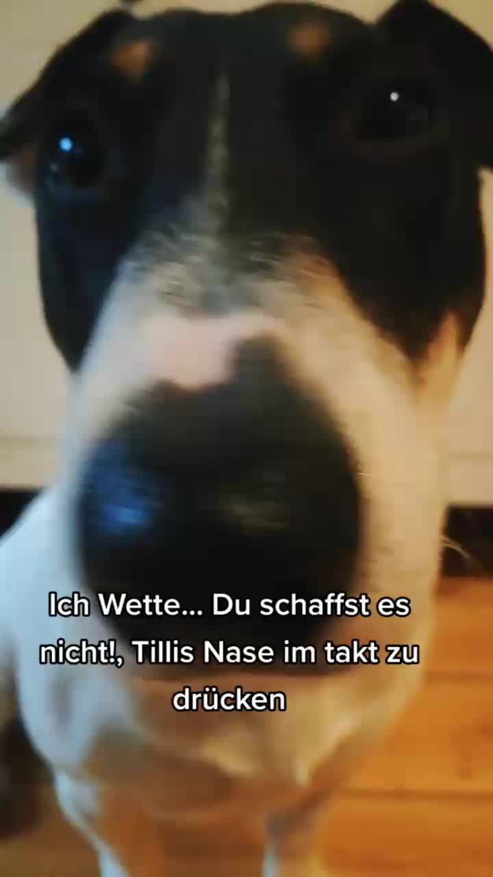 @jackbulli