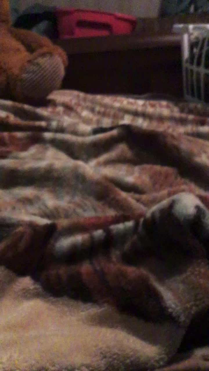 @capcut._.editing0