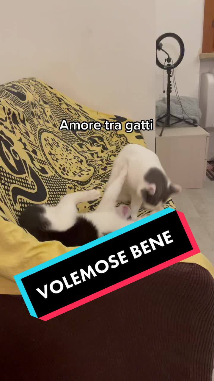 @Anna_morando_real