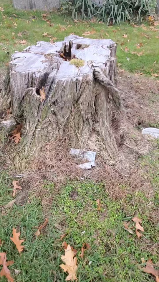 @Guy in the Graveyard