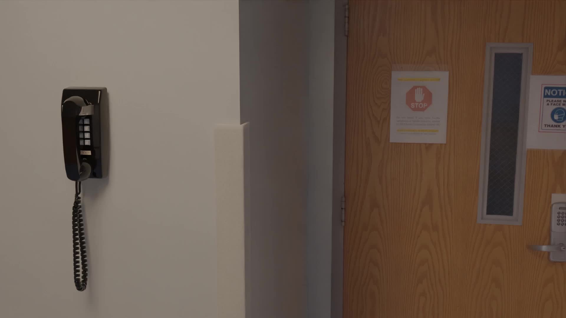 @Blender Animation After Hours