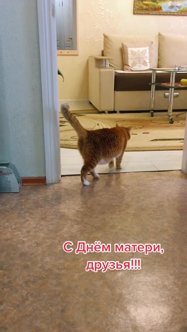 @Татьяна